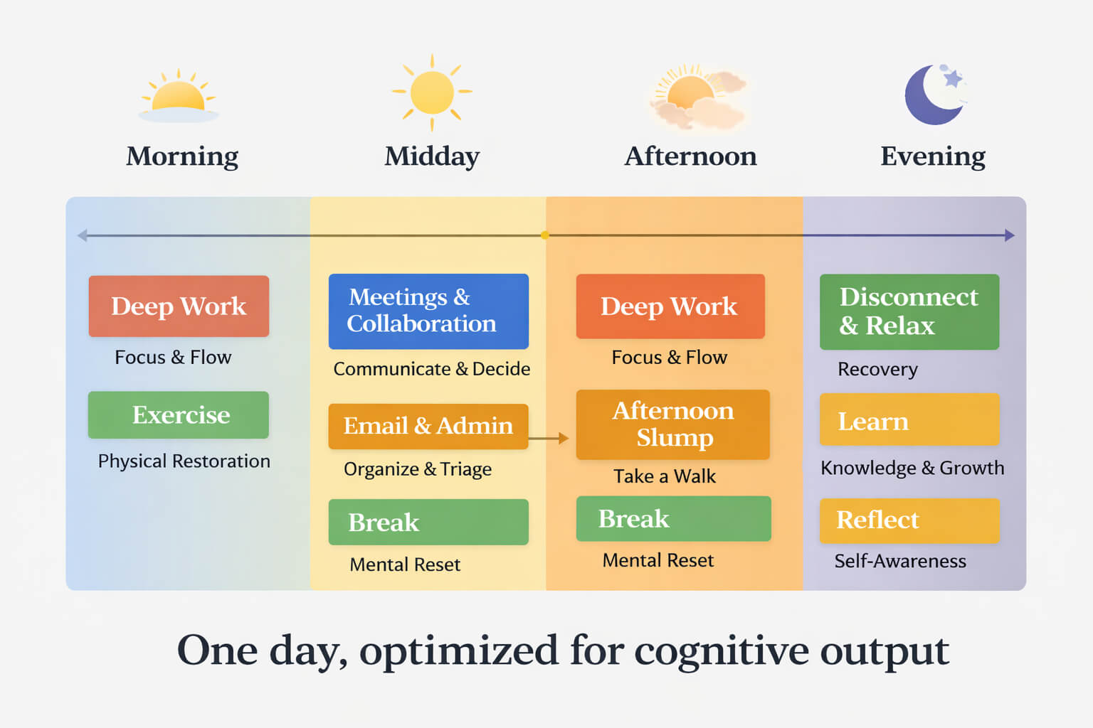 Daily schedule infographic showing optimal blocks for deep work, recovery, and decision-making